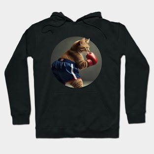 Cute fat cat boxing Hoodie